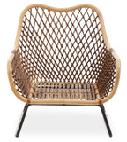 Black Iron Frame Rattan Chair